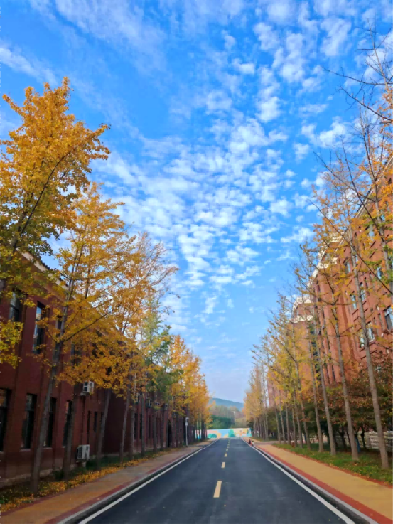 bd280055-5c00-4e20-80c4-d1bc86e9157c.png